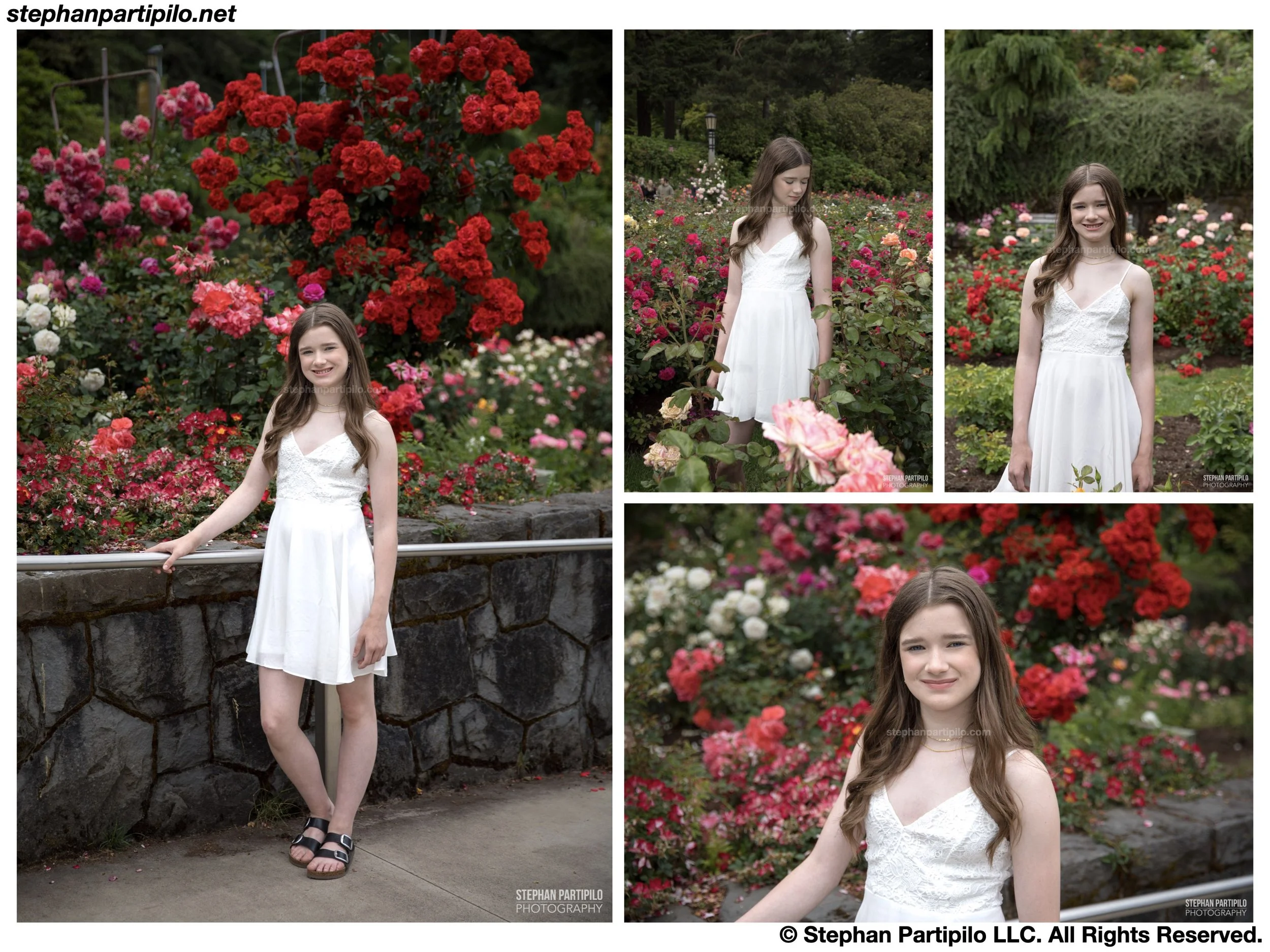 パブロ・ピカソ、Portrait of J. R. with Roses Stephan Partipilø - Jianna x Portland International Rose Test